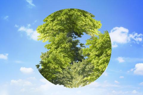 ecologische
