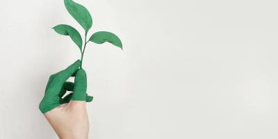 Groene energie