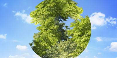 ecologische